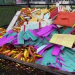 Puja Packages